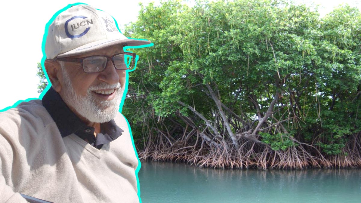 طاہر قریشی بابائے مینگروز، انڈس ڈیلٹا میں مینگروز کے درخت لگاتے ہوئے، پاکستان کے ساحلی جنگلات کے تحفظ کی علامت